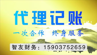 平頂山代理記賬與代理代辦服務(wù) 企業(yè)高效運(yùn)營的得力助手